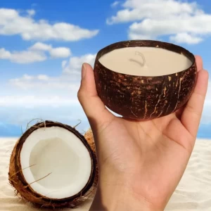 Soy Wax Candle Coconut Shell 100gms Pack of 2 Soy Wax Candle Coconut Shell 100gms Pack of 2