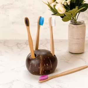 Coconut Shell Toothbrush Holder
