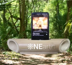 Bamboo Sound Amplifier With Cotton Pouch