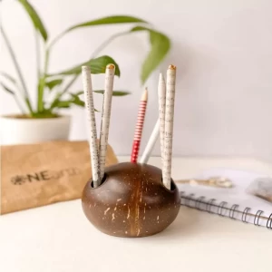 Coconut Shell Pen stand Coconut Shell Pen stand