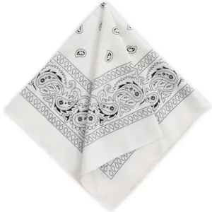 All White Paisley Striped Handkerchiefs