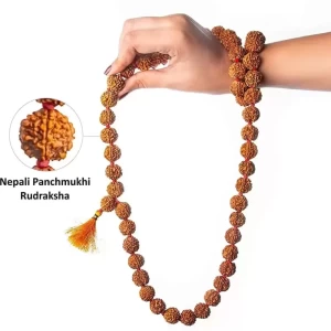 Natural Rudraksh Mala For Men