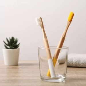 Wheat straw Toothbrush